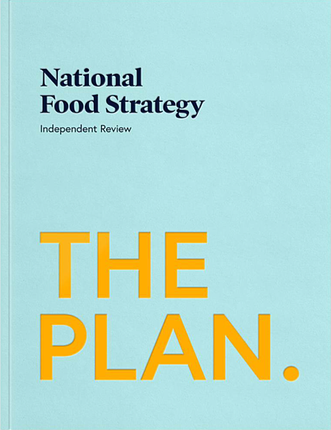 National food strategy article