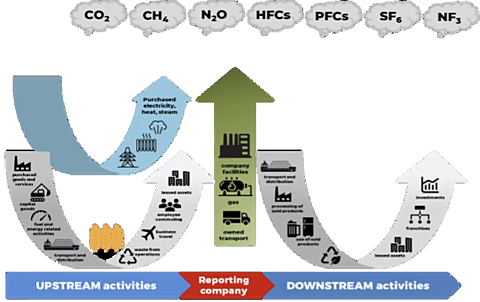 Sustainability infographic