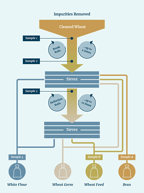 Simplified diagram of the milling process