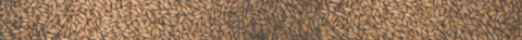 Ukfm header image grain