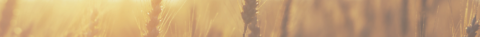 Ukfm header image wheat 01