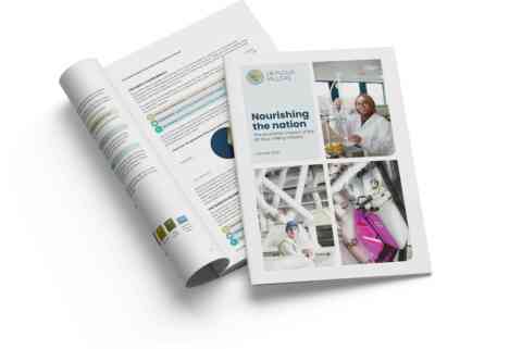 Economic Impact Report 2025
