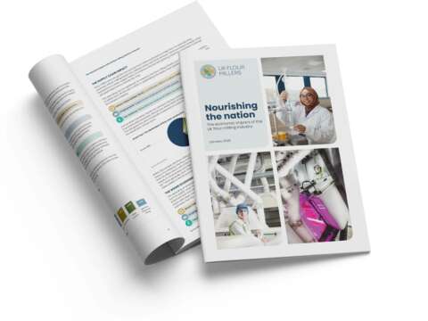 Economic Impact Report 2025