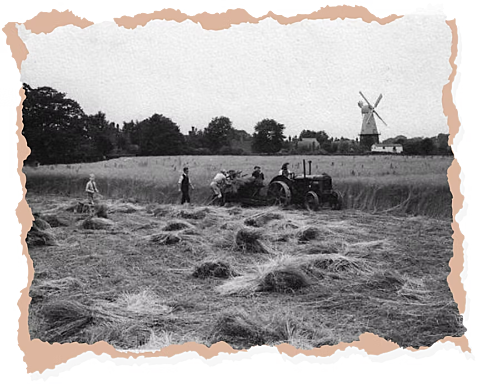 Timeline 1939