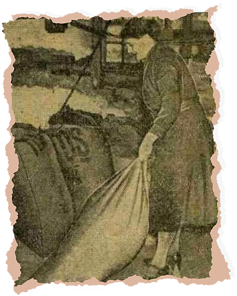 Timeline 1936