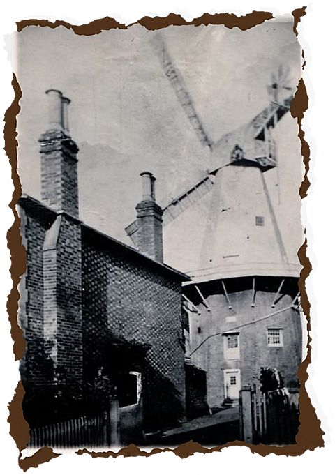 Timeline 1814