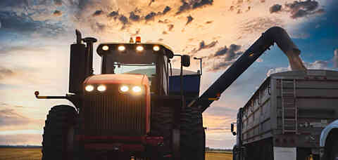 60 Wheat supply
