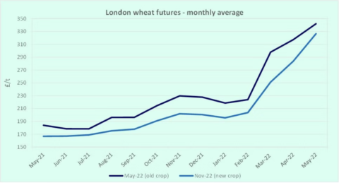 Wheat Figure 2
