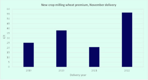 Wheat Figure 3