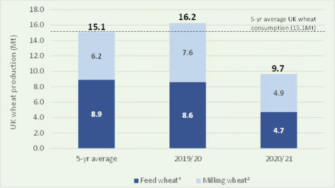 Chart 4