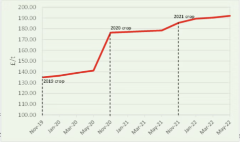 Wheat chart