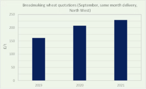 Wheat Graph 2