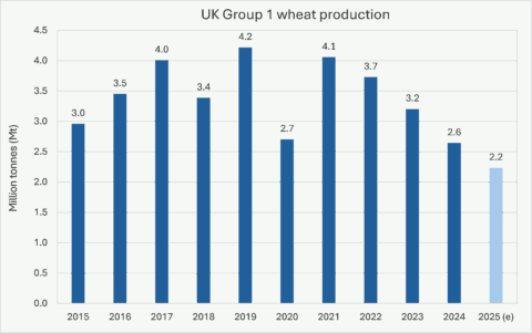 2025 Wheat Market Wheat Harvest Briefing Graph 2
