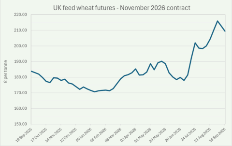 Fig B 2026 Wheat Market Briefing