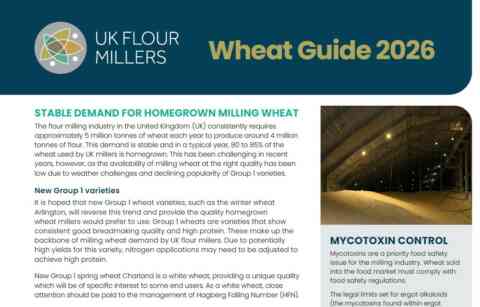 6 Wheat Guide 2026
