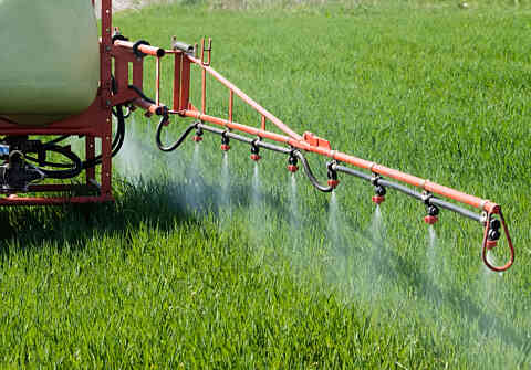 Pesticides