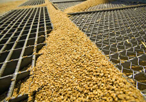 Physical contaminants stock photo