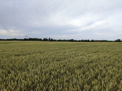 2022 UK Flour Millers visits Germany