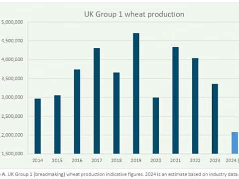 2023 Press Release Concern over supply of UK breadmaking wheat