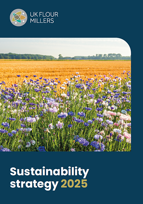 Sustainability Strategy 2025 Thumbnail
